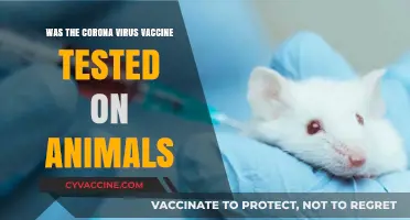 Animal Testing in COVID-19 Vaccine Development: Facts and Ethics