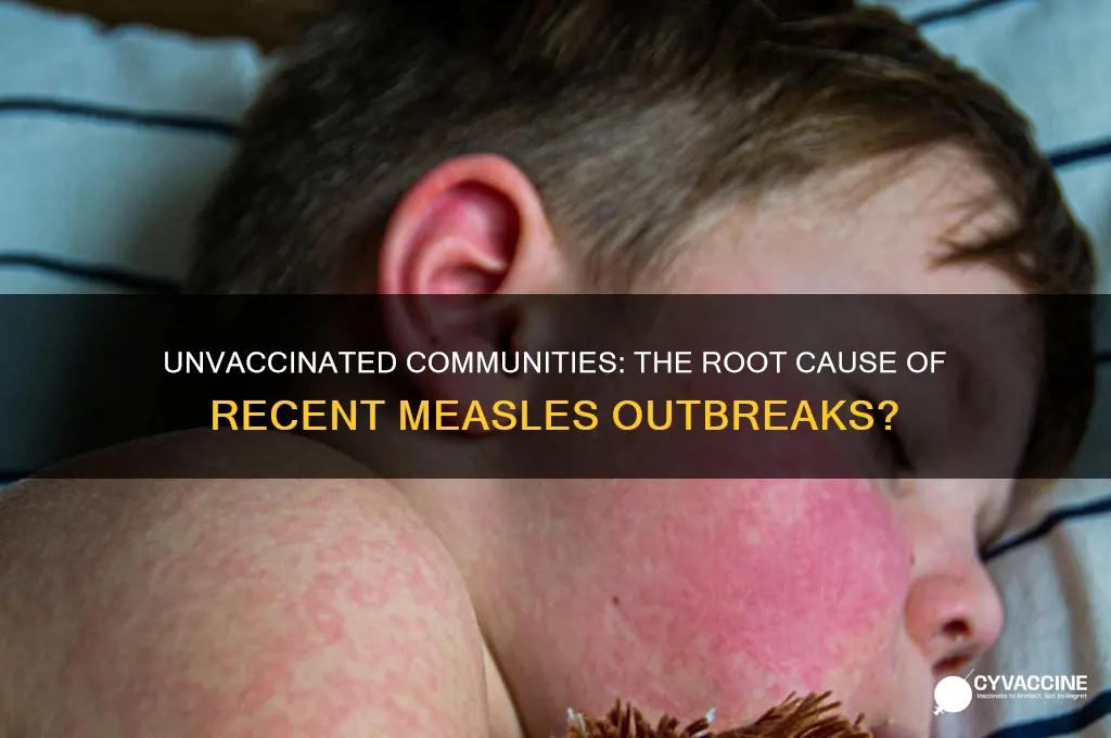 was the neasles outbreak caysed by no vaccines