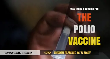 Did a Booster Shot Exist for the Polio Vaccine?