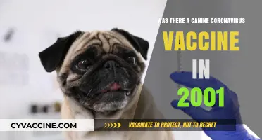 Canine Coronavirus Vaccine: Availability and Developments in 2001 Explored