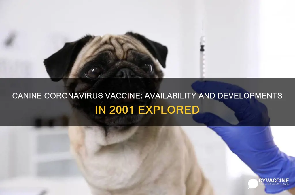 was there a canine coronavirus vaccine in 2001