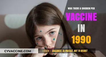 Chicken Pox Vaccine in 1990: Availability and Impact Explored