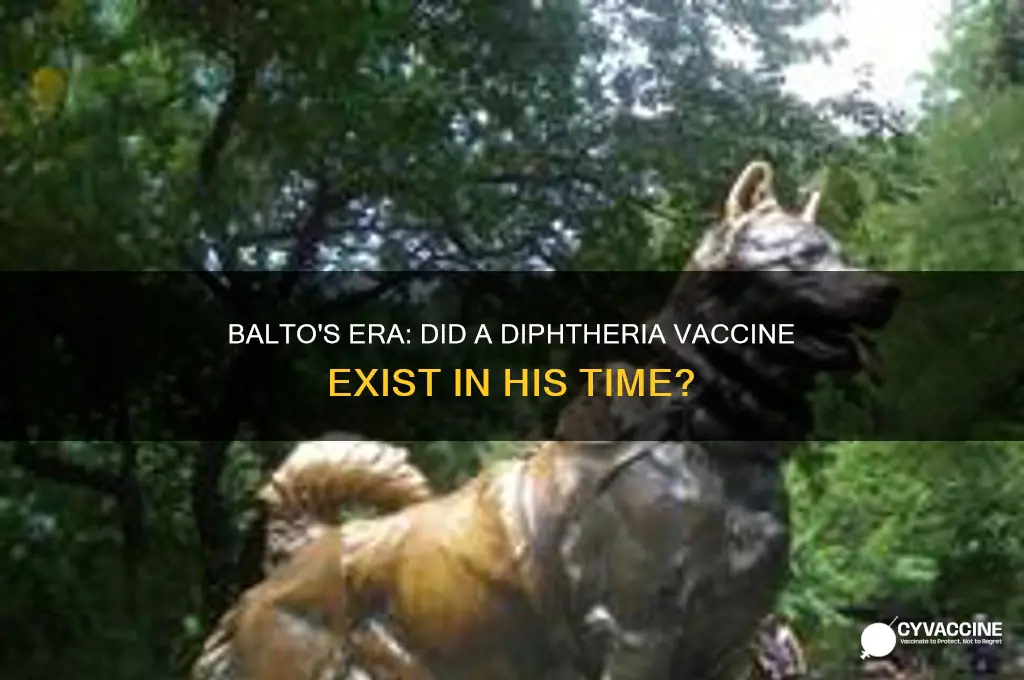 was there a diptheria vaccine when balto was alive