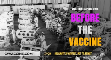 Polio's Pre-Vaccine Era: Treatments Before the Salk Breakthrough