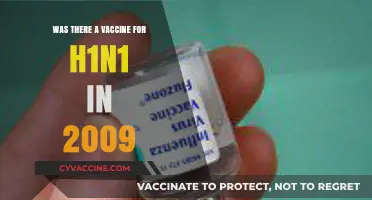 H1N1 Vaccine Development: A 2009 Global Health Response
