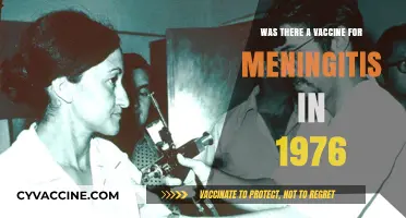1976 Meningitis Vaccine: Availability and Historical Context Explored