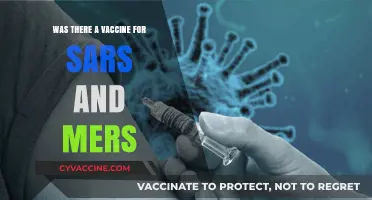 SARS and MERS Vaccines: Development, Challenges, and Lessons Learned