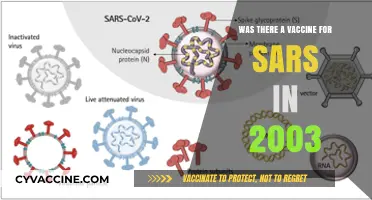 SARS Vaccine in 2003: Fact or Fiction? Uncovering the Truth
