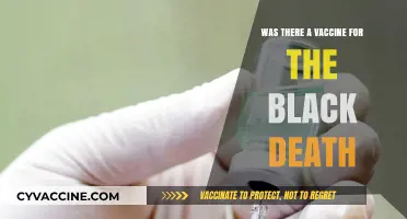Did a Vaccine Exist for the Black Death? Historical Insights