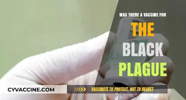 Did a Vaccine Exist for the Black Plague? Uncovering Historical Truths