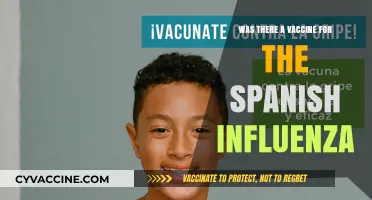 Did a Vaccine Exist for the Spanish Flu Pandemic?