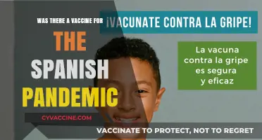 Did a Vaccine Exist for the 1918 Spanish Flu Pandemic?