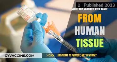 Human Tissue in Vaccines: Fact-Checking the Origins and Ethics