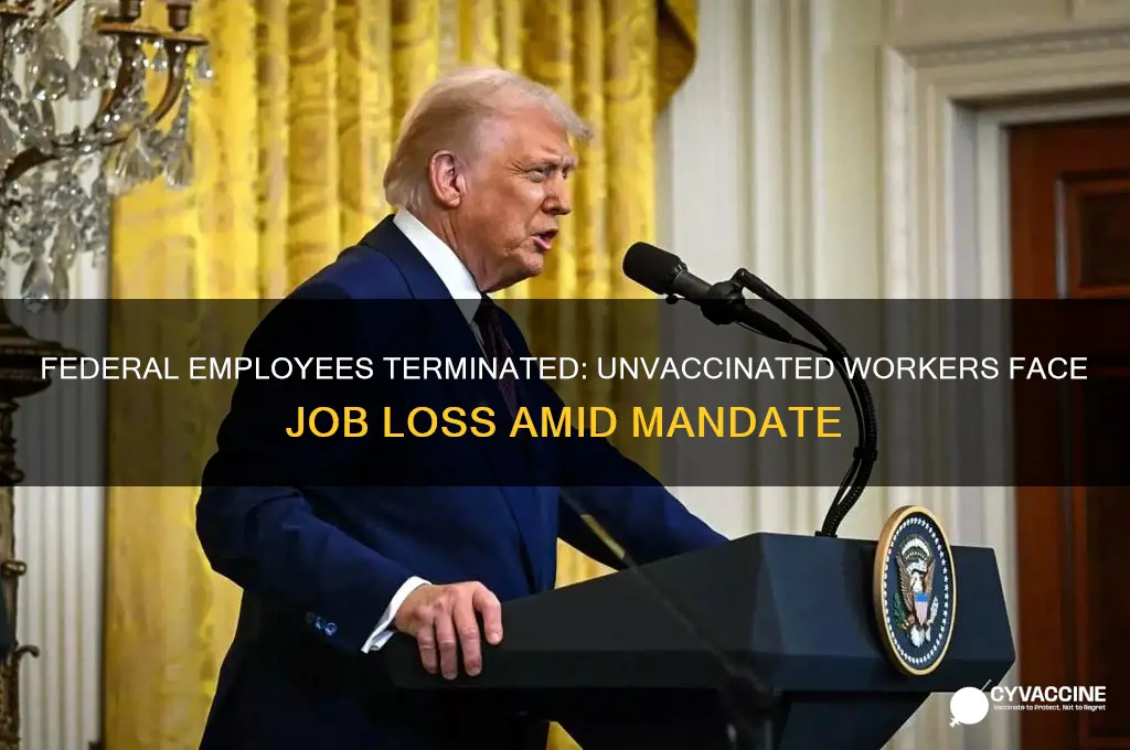 were federal employees fired for not being vaccinated