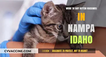 Where to Buy Kitten Vaccines in Nampa, Idaho: A Guide