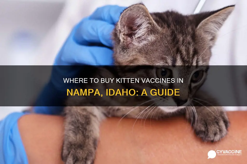 were to buy kitten vaccines in nampa idaho