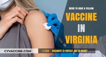 Where to Get the Yellow Fever Vaccine in Virginia: A Guide