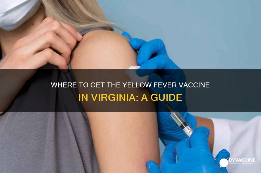 were to have a yellow vaccine in virginia