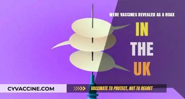 UK Vaccine Hoax Claims Debunked: Separating Fact from Fiction