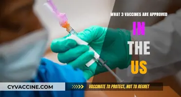 Approved Vaccines in the US: A Comprehensive Guide to the Top 3