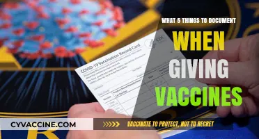 Essential Vaccine Documentation: 5 Key Details to Record for Safety and Accuracy