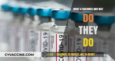 Understanding Vaccines: Their Purpose, Function, and Impact on Health