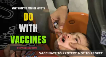 Aborted Fetal Cells in Vaccines: Myths, Facts, and Science Explained