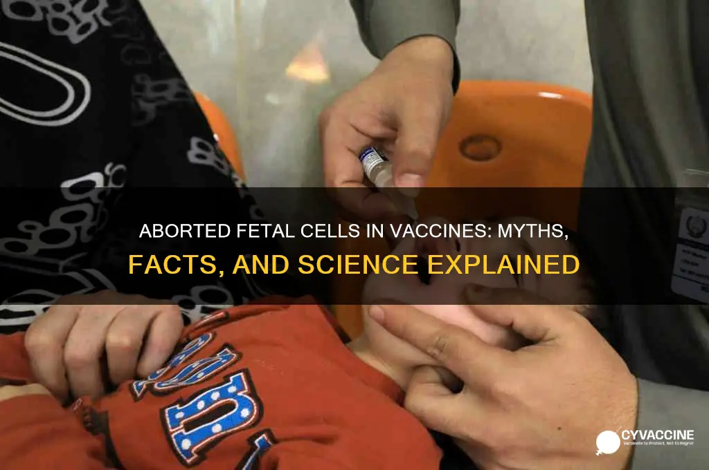 what aborted fetuses have to do with vaccines