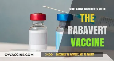 Rabavert Vaccine: Key Active Ingredients Explained for Effective Rabies Prevention