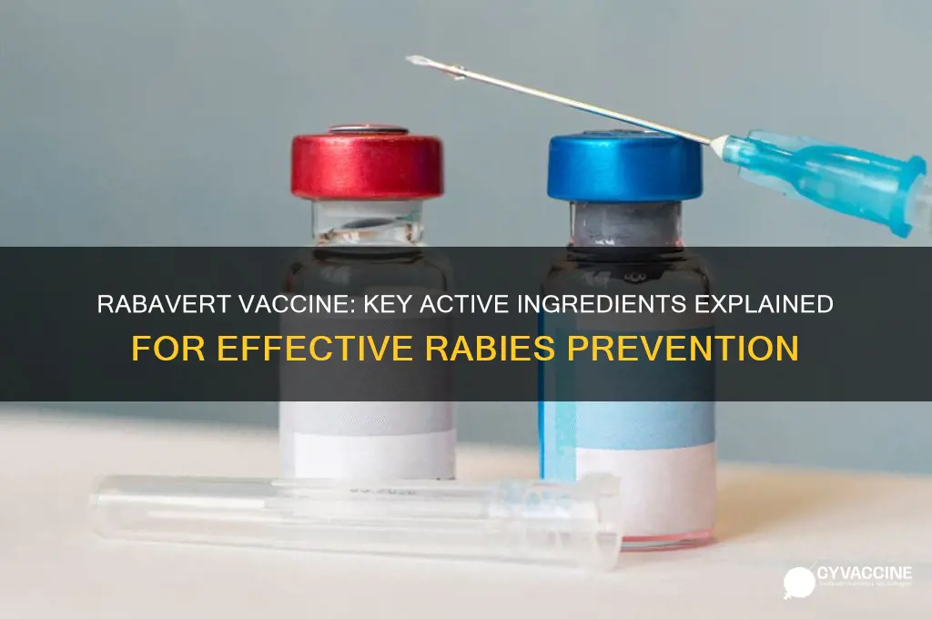 what active ingredients are in the rabavert vaccine