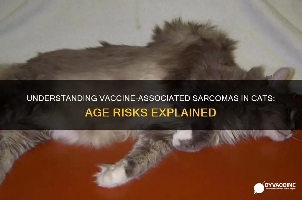 what age cats do vaccine associated sarcomas affect