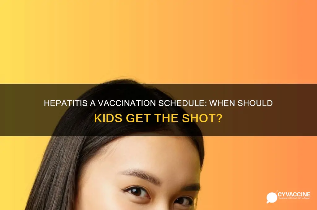what age do children receive hepatitis a vaccinations