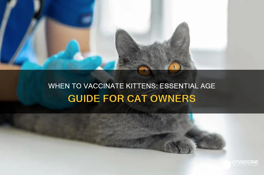 what age do kittens have to be vaccinated