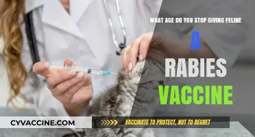 When to Stop Rabies Vaccines for Your Aging Cat