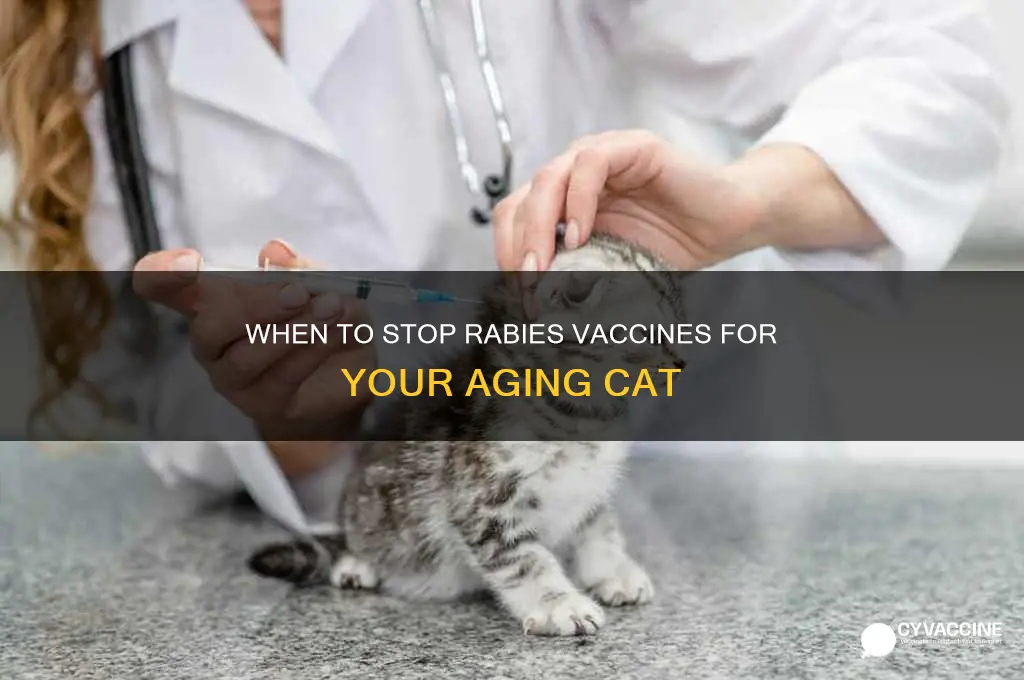 what age do you stop giving feline a rabies vaccine