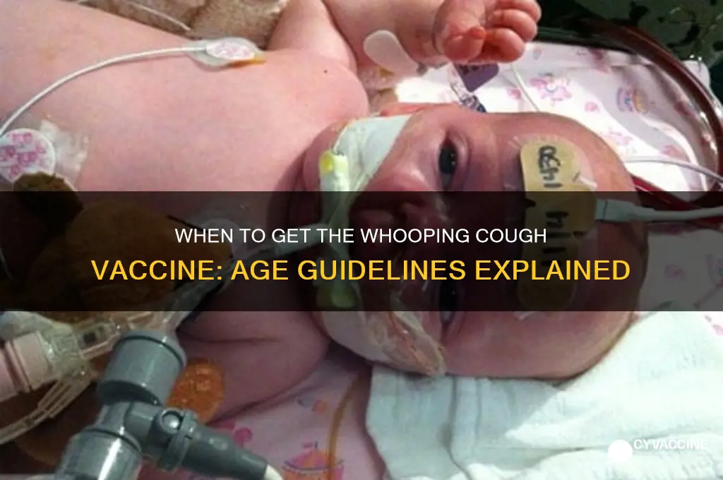 what age for whooping cough vaccine