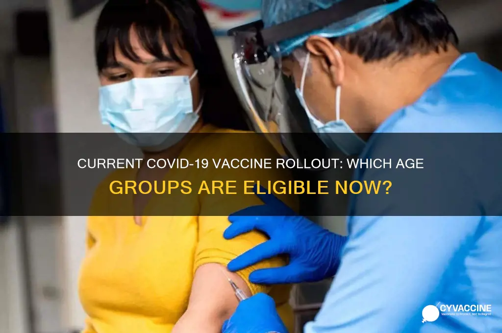 what age group are being vaccinated at the moment