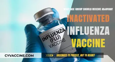 Optimal Age Groups for Adjuvant Inactivated Influenza Vaccination