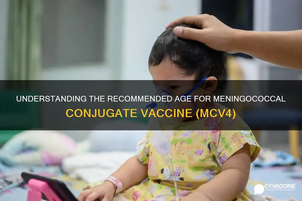 what age is the meningococcal conjugate vaccine mcv4