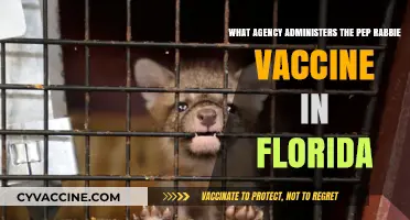 Florida's PEP Rabies Vaccine Administration: Which Agency is Responsible?
