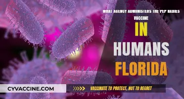 Florida's PEP Rabies Vaccine Administration: Which Agency is Responsible?