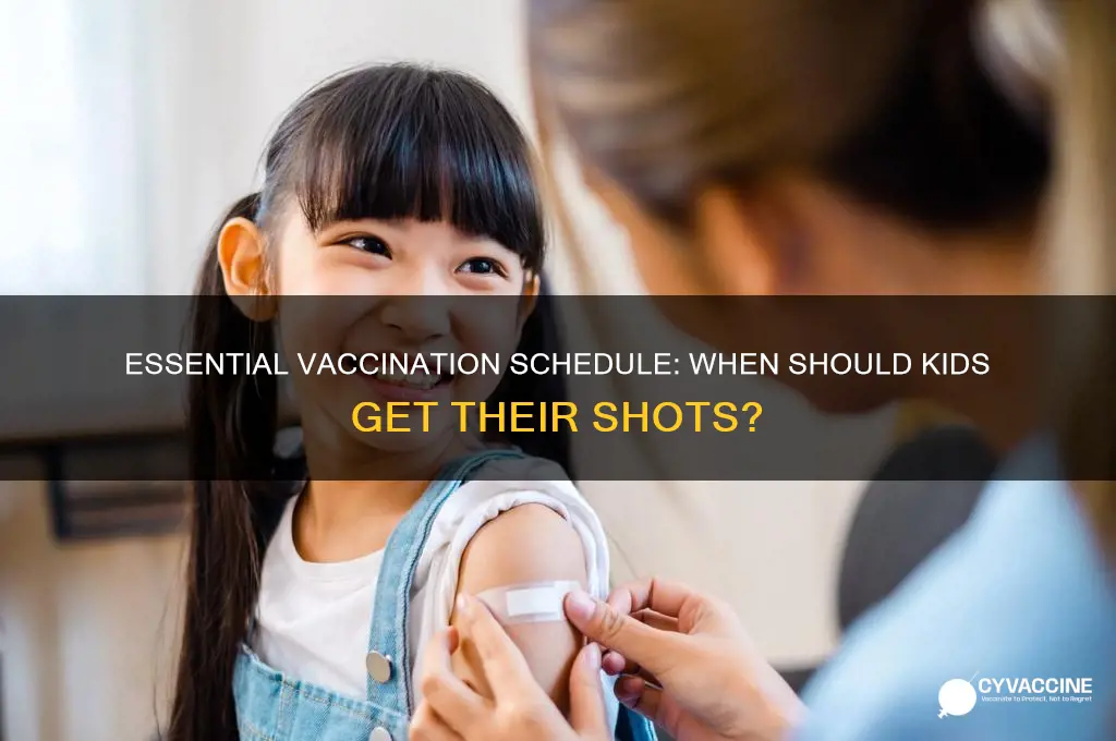 what ages are kids supposed to have vaccinations