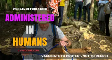 Rabies Vaccine Administration: Key Ages for Human Protection