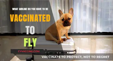 Vaccine Requirements for Air Travel: Which Airlines Mandate COVID-19 Vaccination?