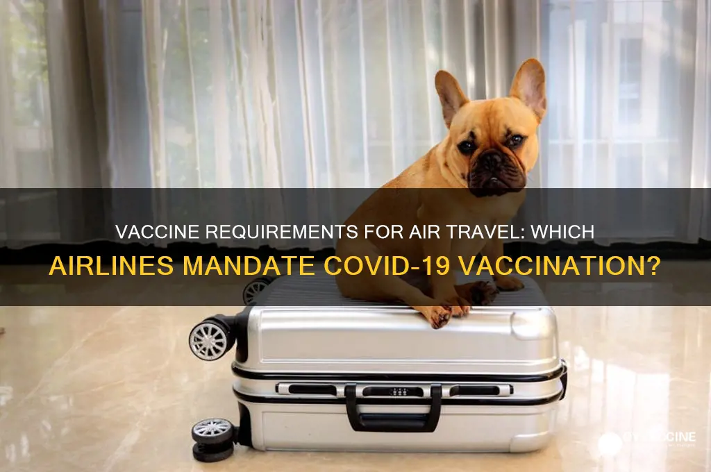 what airline do you have to be vaccinated to fly