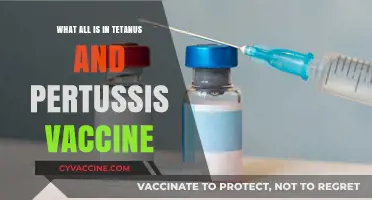 Understanding the Components of Tetanus and Pertussis Vaccines