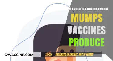 Mumps Vaccine Antibody Levels: Understanding Immune Response and Protection