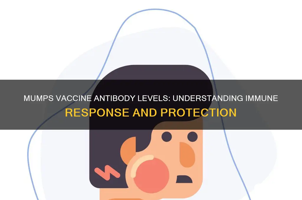 what amount of antibodies does the mumps vaccines produce