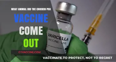 Chickenpox Vaccine Origin: The Surprising Animal Connection Explained