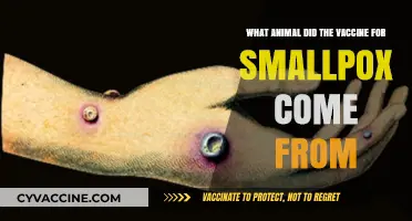 The Surprising Animal Source of the Smallpox Vaccine Revealed